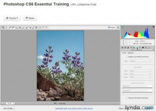 Lynda photoshop course