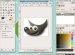 Basic Graphic design software