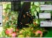 Graphic design software for kids