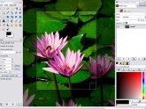 Graphic design software For Beginners