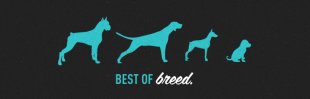vancouver-branding-package-design-web-design-straydog