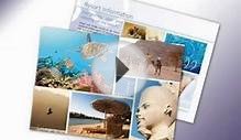 Create Design Studio - Graphic Design Portfolio