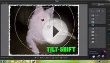 (Free)Top 3 Best Photo Editing Software for Windows 7
